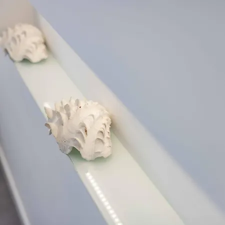 Pakuana Semesterbostad *